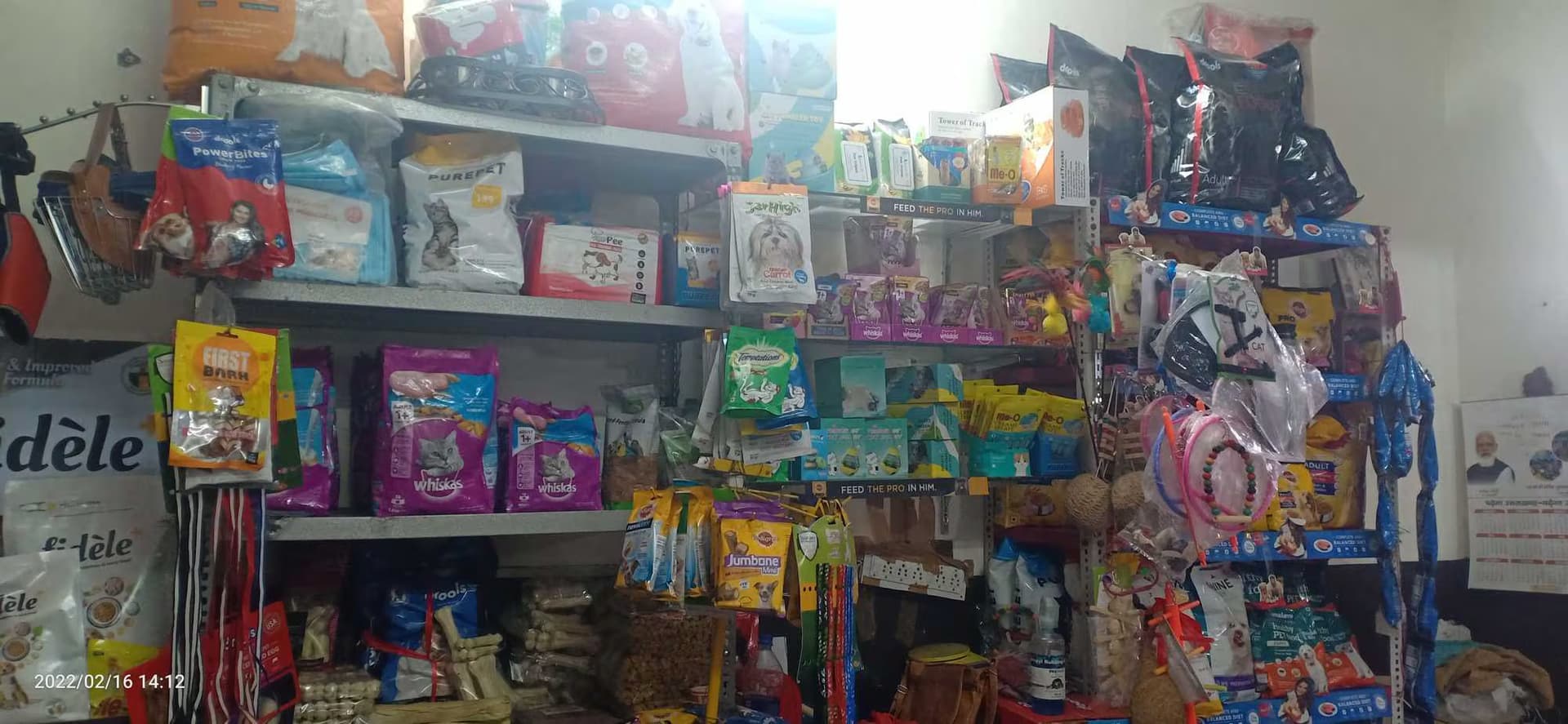 A2Z Pets Mania (Dehradun)