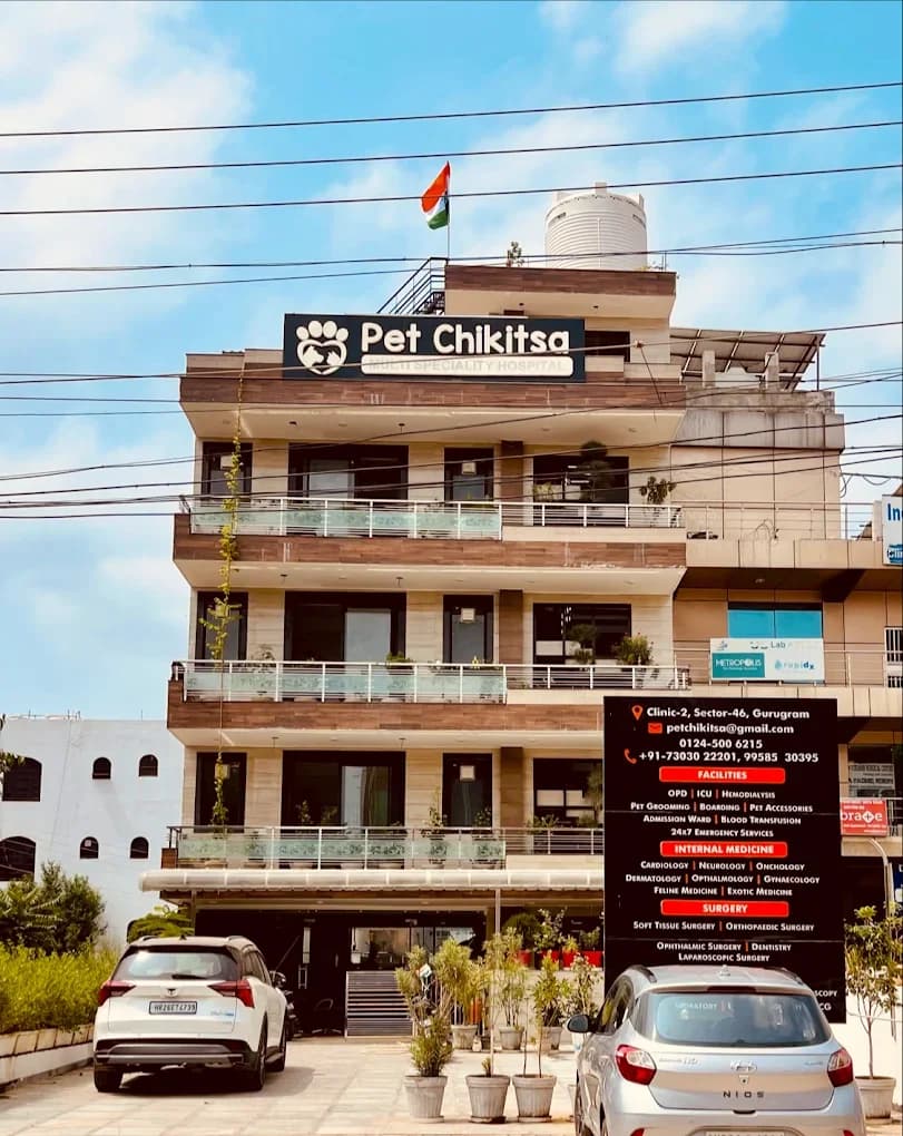 Pet Chikitsa Veterinary Hospital (Gurugram)
