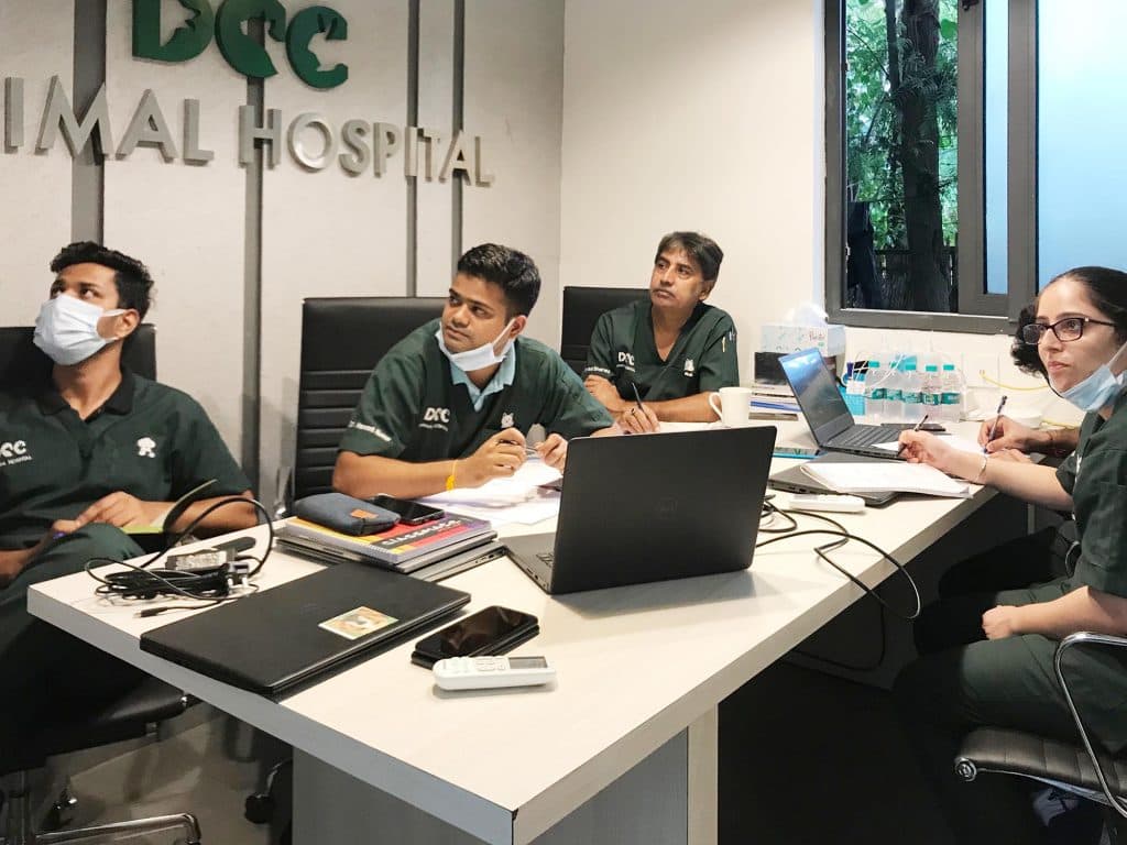 DCC Animal Hospital Grooming & Boarding