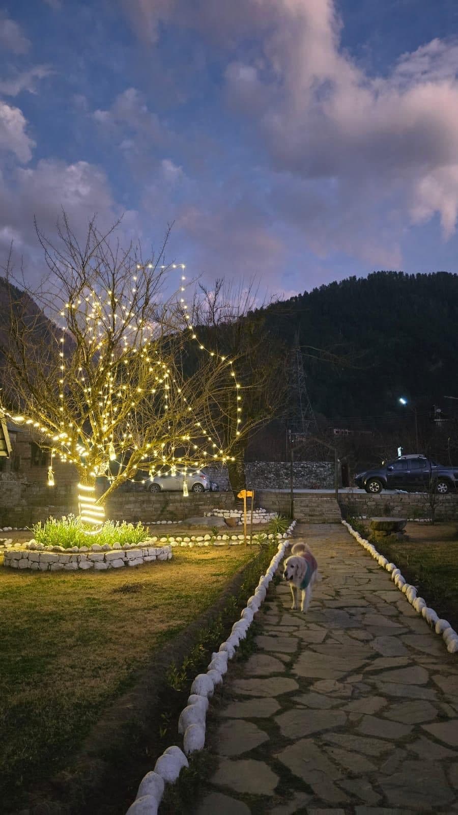Aroha Residency