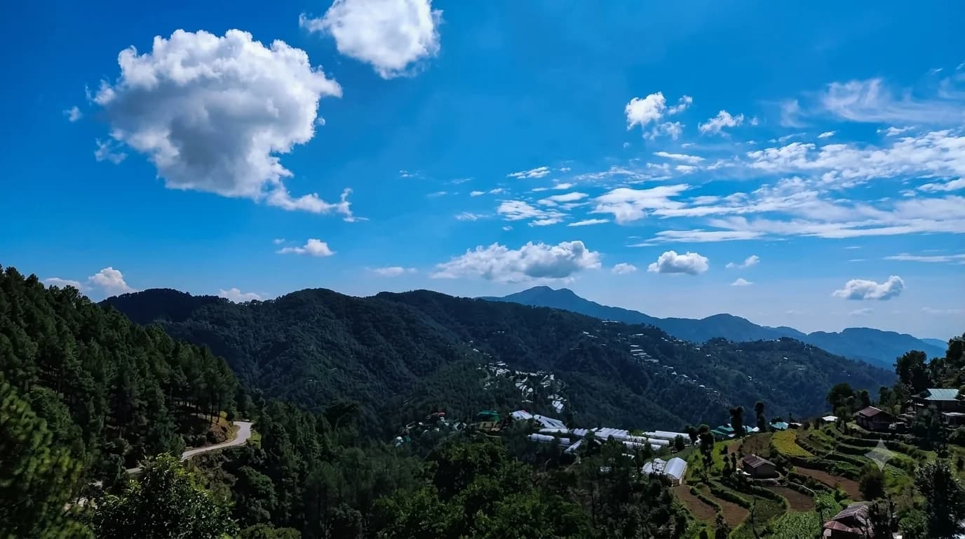 Sevam Farms, Chail (Mihani)
