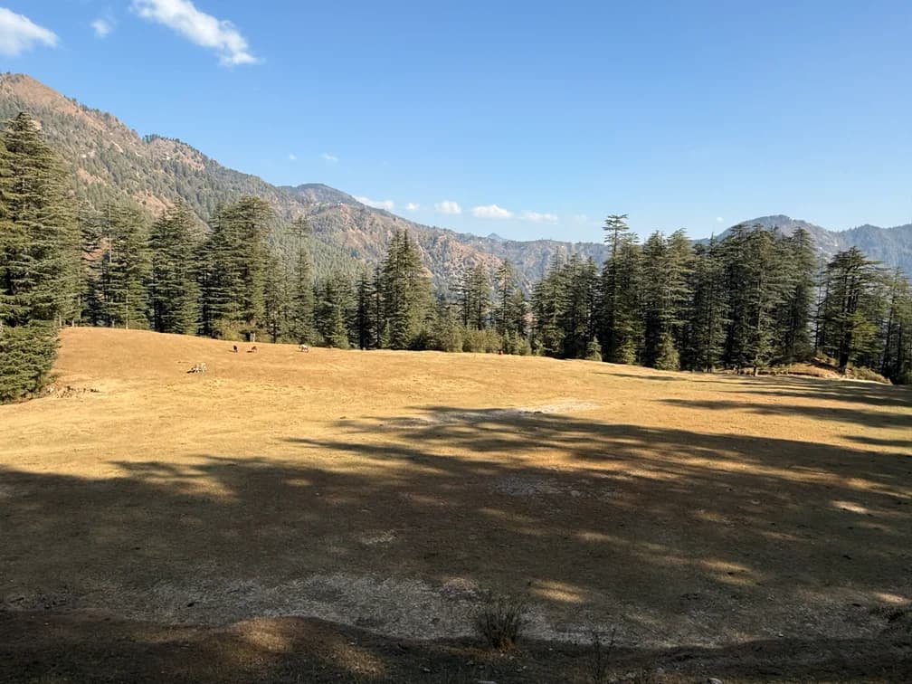 Misty mountain cottage (Gadakufri)