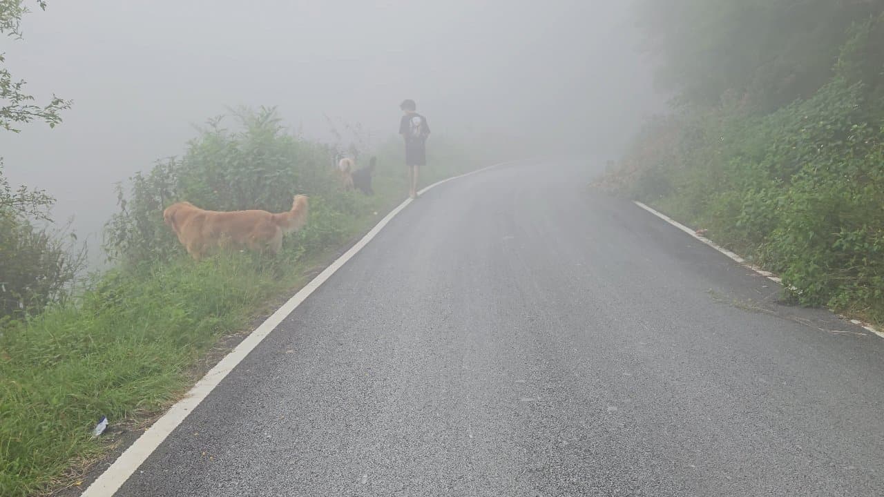 The Sarang (Bhimtal)