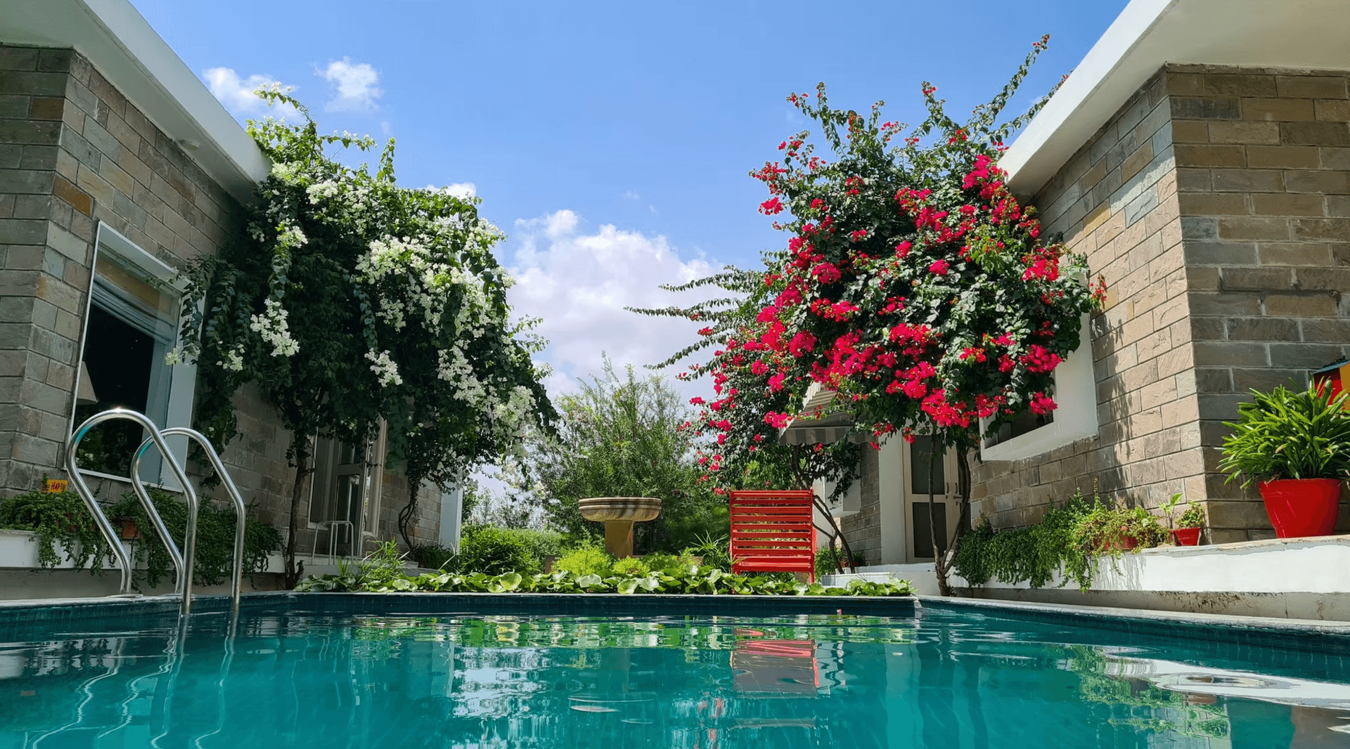 Jungle House (near Jaipur)