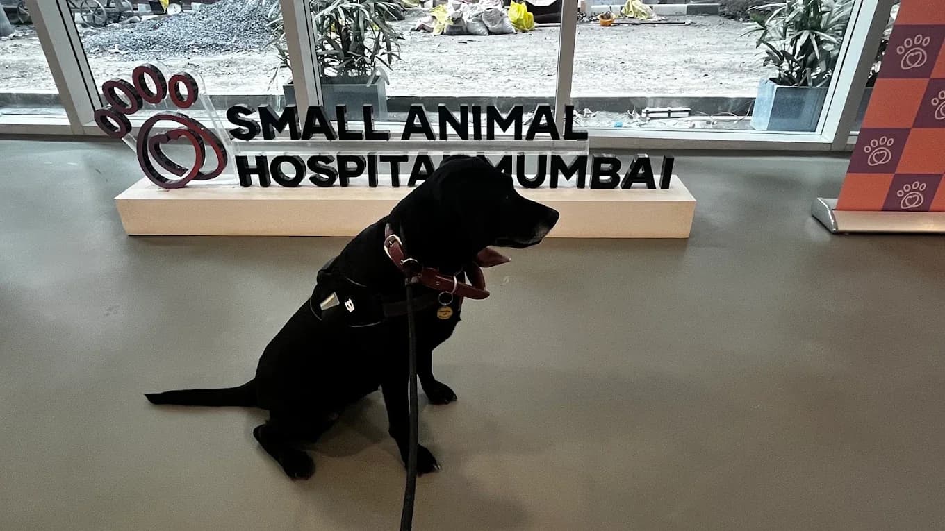 Tata Trusts Small Animal Hospital, Mumbai (Mumbai)