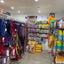 Pet Paradise (Davangere)