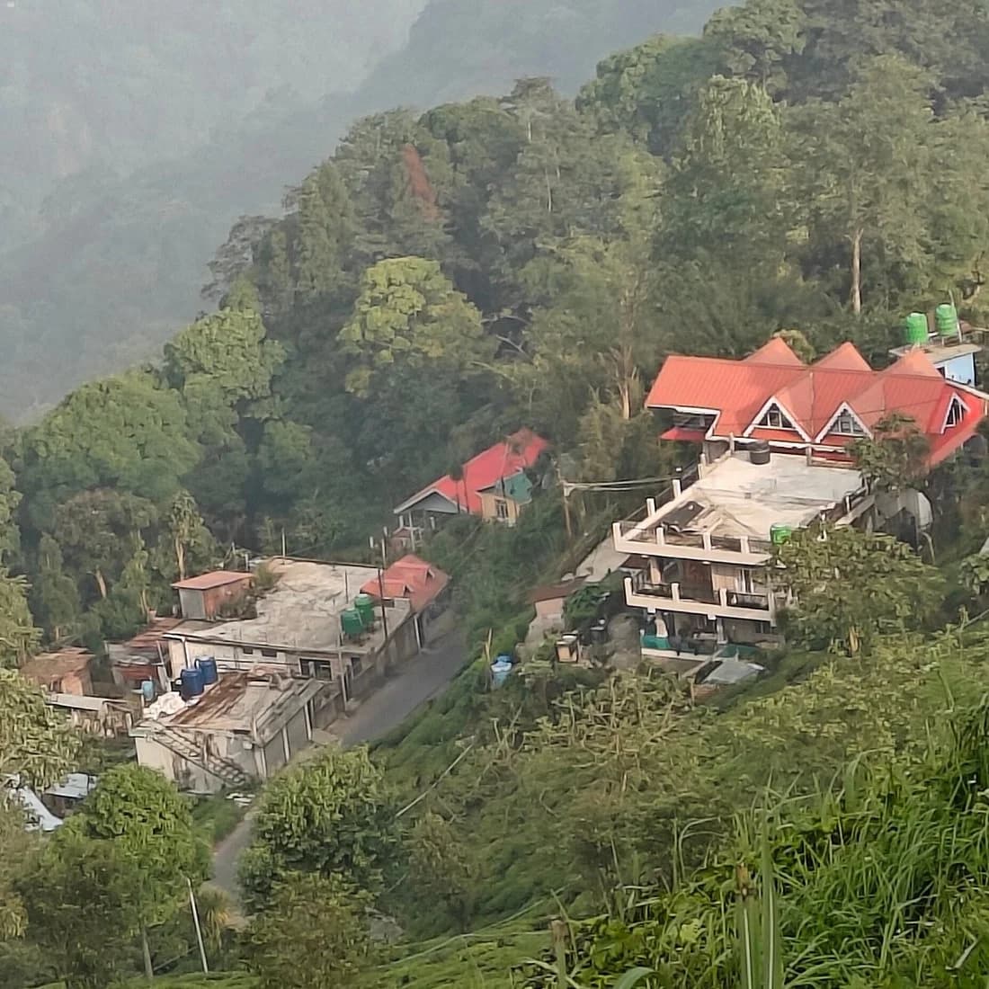 Bloomfield Farmhouse and Eco-Resort