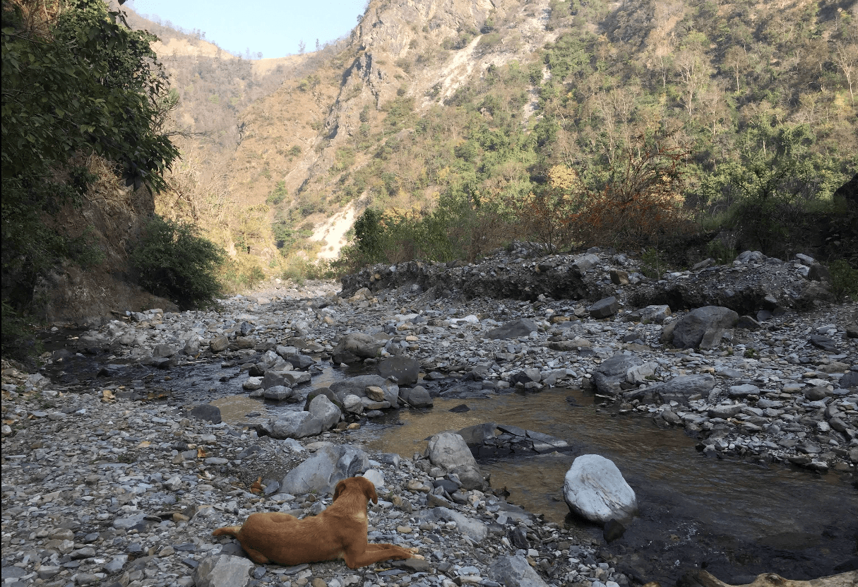 Aashraya on Ganga (Rishikesh)