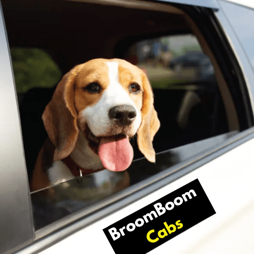 BroomBoom Cabs (Gurgaon)