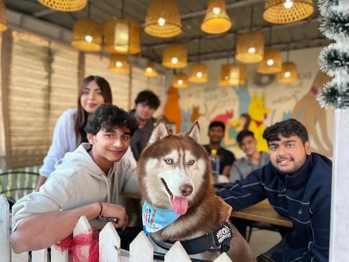Pups and Cups (Noida)