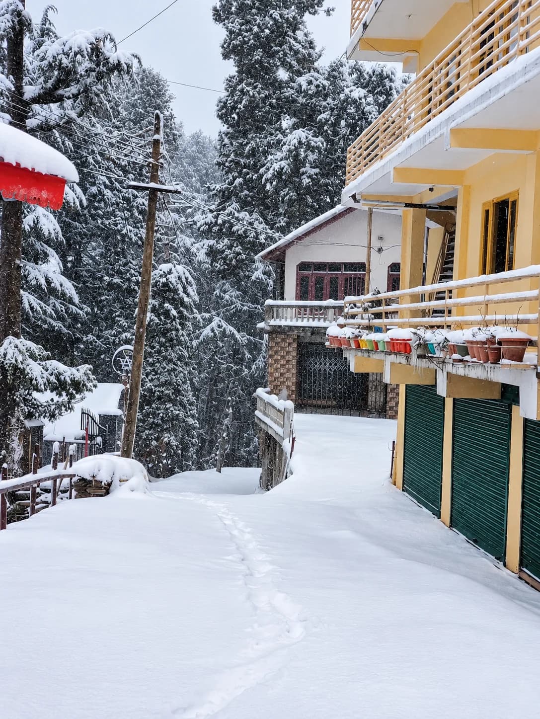Sahil cottage (Dalhousie)