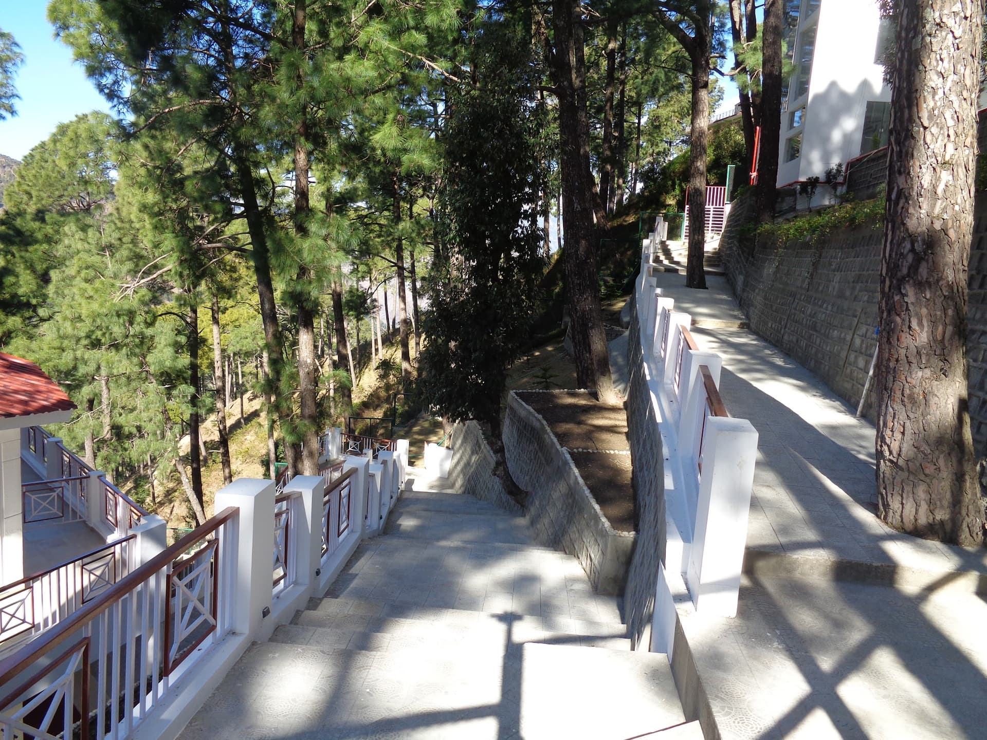 Himalayan Splendour Resort (Rautu Ki Beli)
