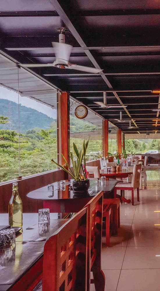 Thenmala Ecoresort