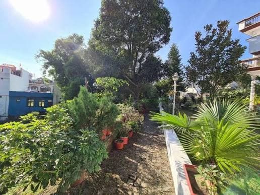 Green Diamond Homestay (Dehradun)