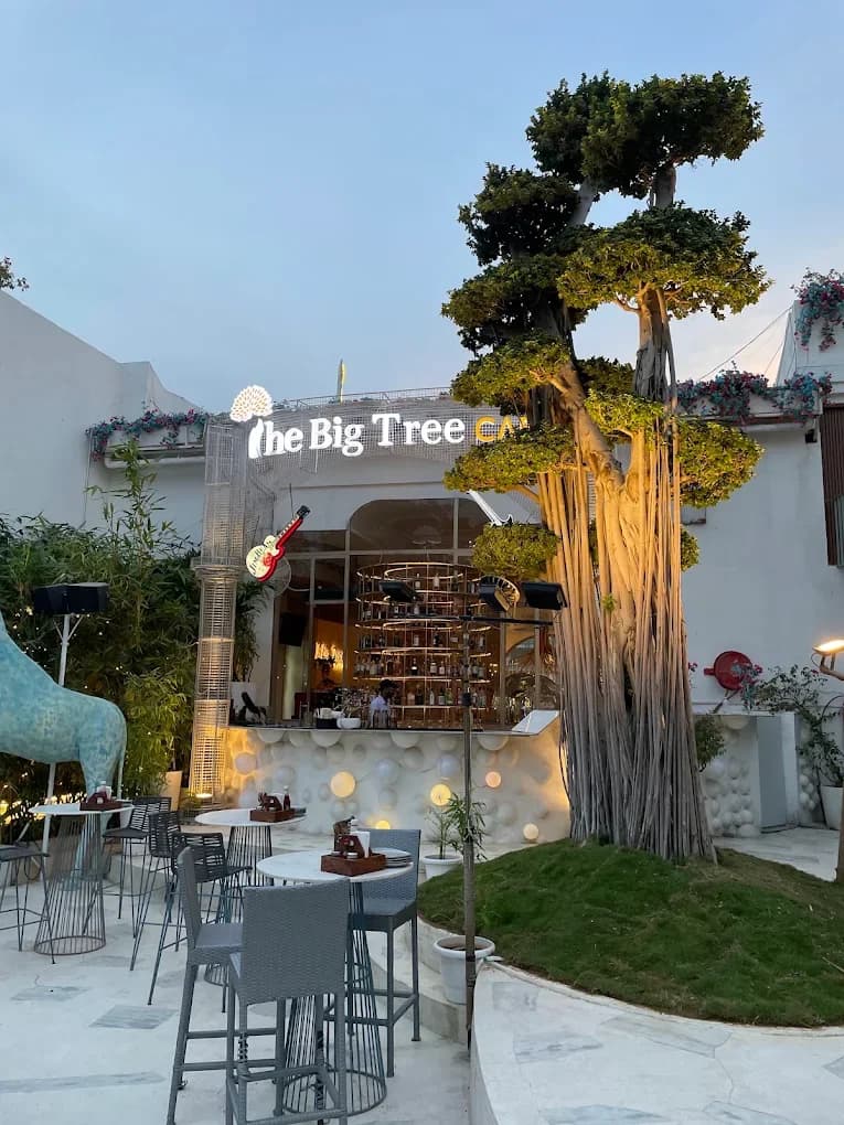 The Big Tree Jaipur (Badarwaz)