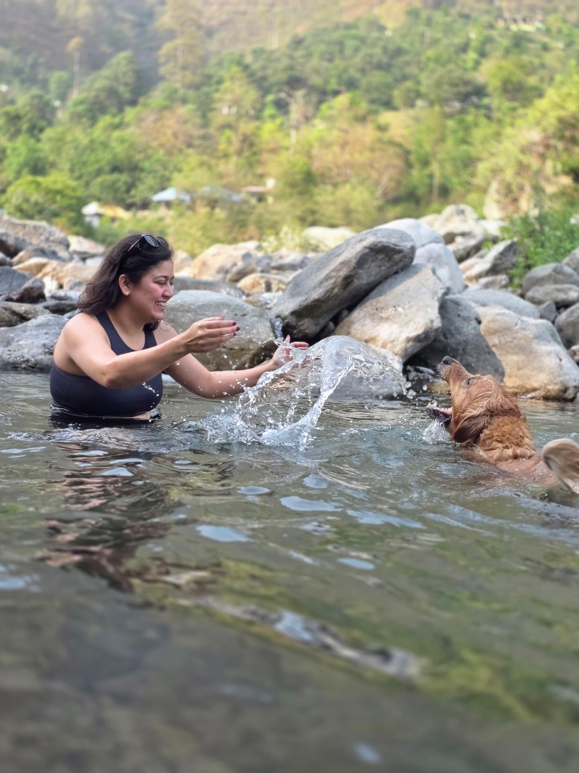 Shallow Gaula River Access Point for Dogs