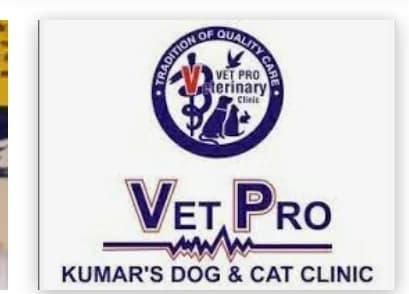 Red Paws Rescue Head Office (New Delhi)
