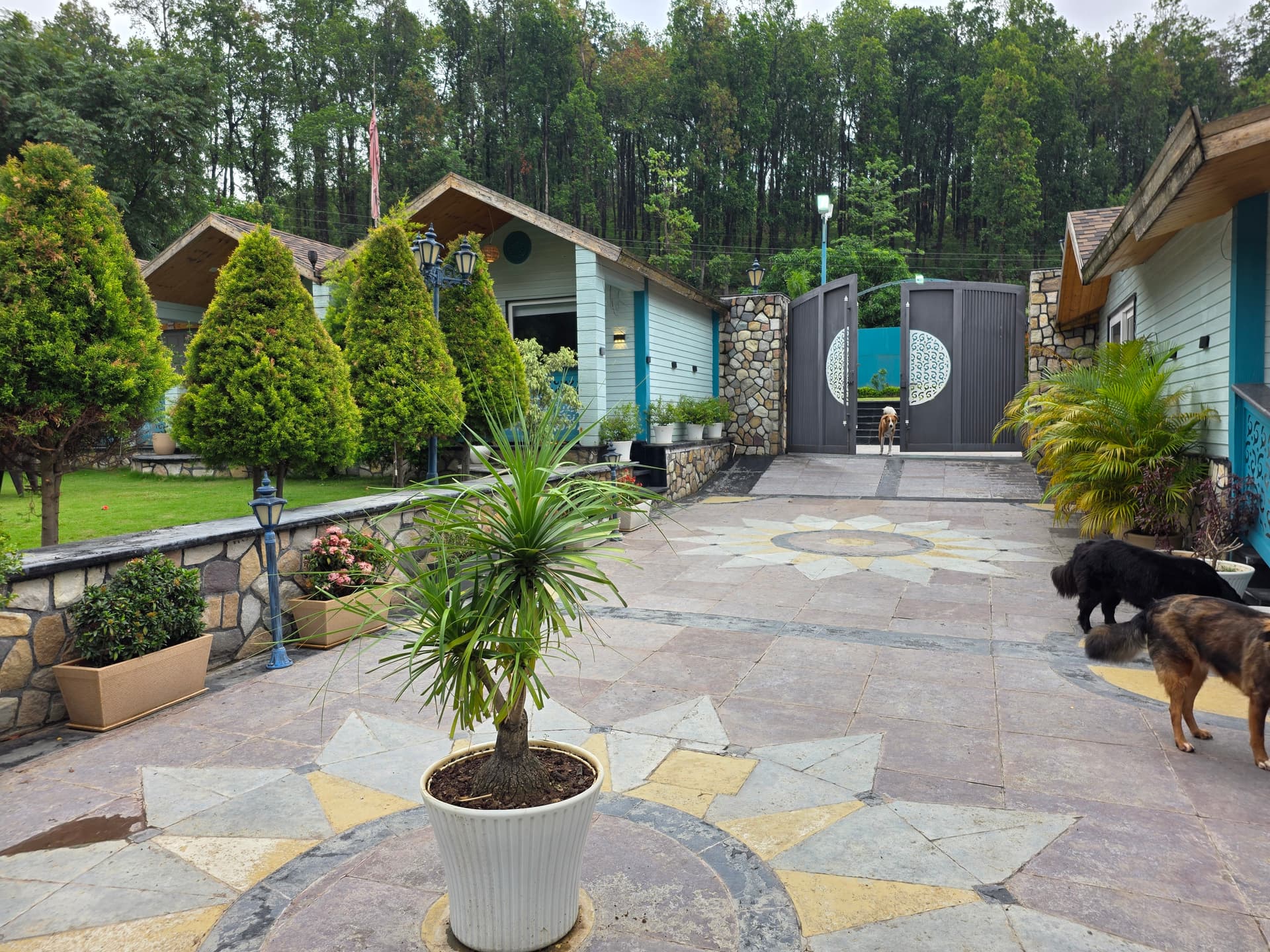 Sela Home by O-Bandhu (Dehradun)