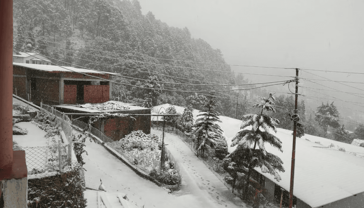 Just Naturals Wellness Resort Nainital