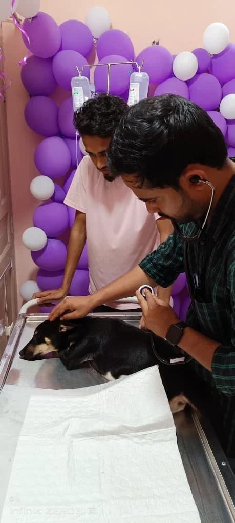 Pups & Kits Pet Hospital (Kolkata)