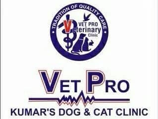 VET PRO Kumar's Dog & Cat Clinic (Delhi)