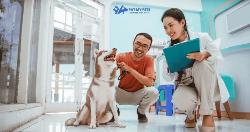 Patmypets (Noida)