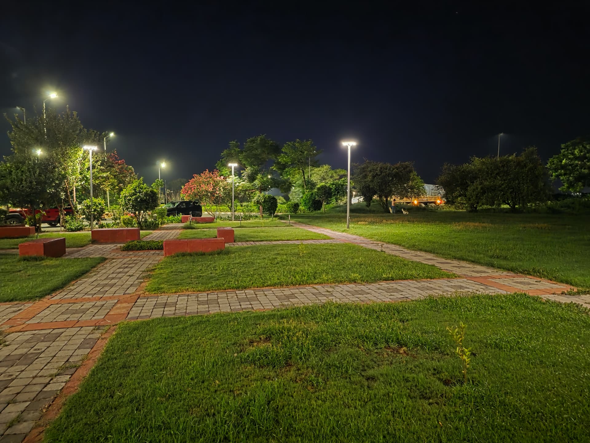 Open green space at the rest area — good for a dog walk