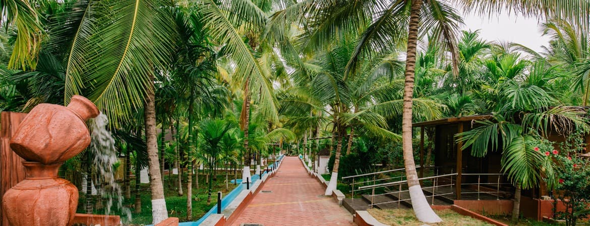 Sterling Anaikatti (Kottathara)