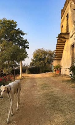 Titardi Garh - Castle Titardi