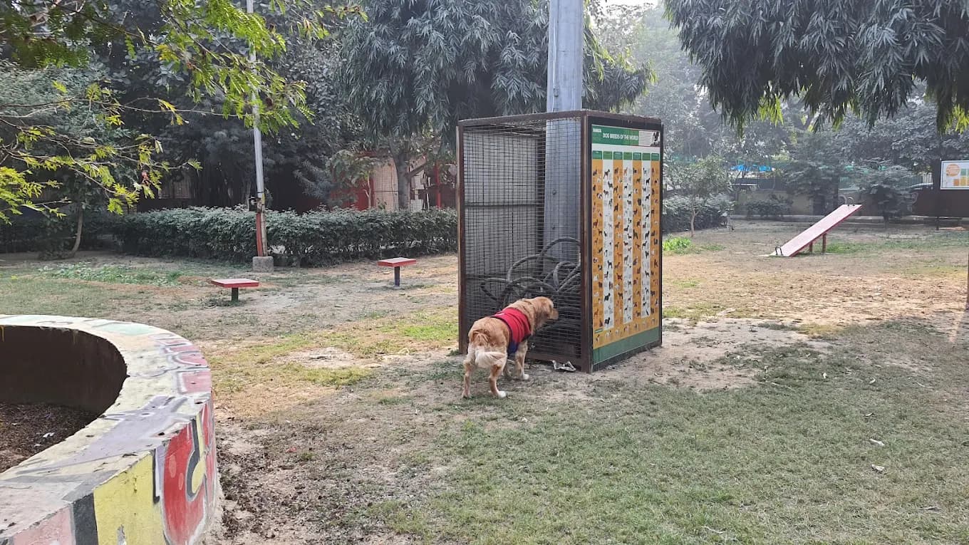 Delhi's First Dog Park (Rajinder Nagar)