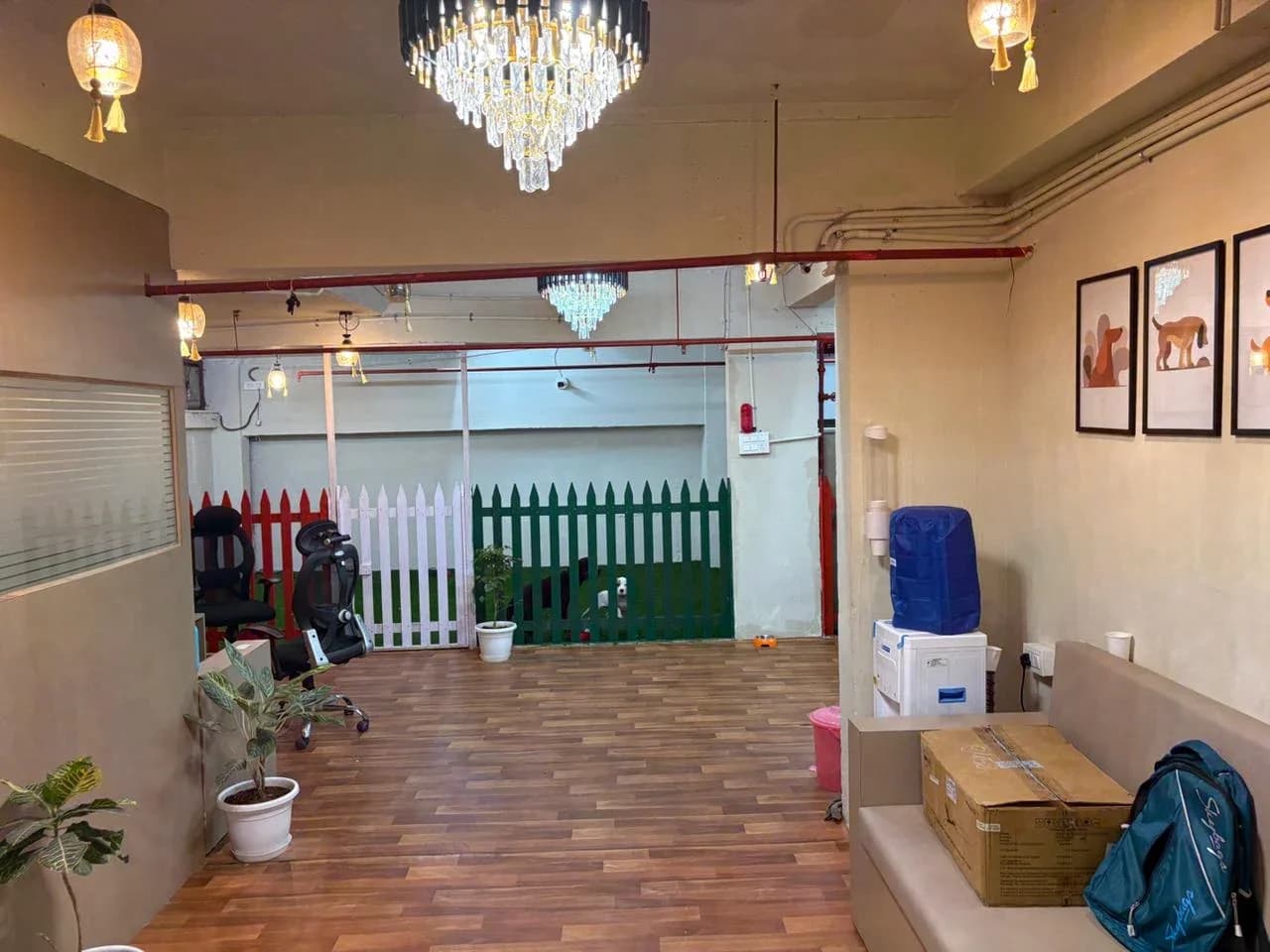 Vet Prime Care Clinic (Gurugram)
