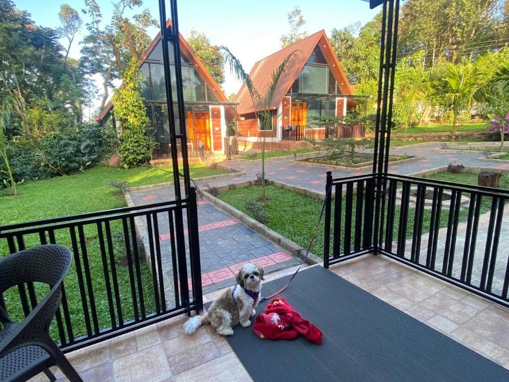 Wisteria Coorg Nature stay (Biligeri)
