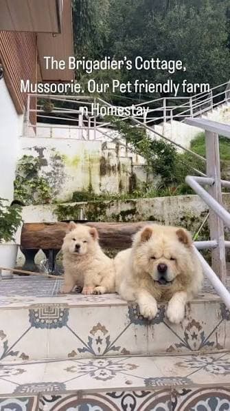 The Brigadiers Cottage Mussoorie, A pet friendly Homestay (Mussoorie)