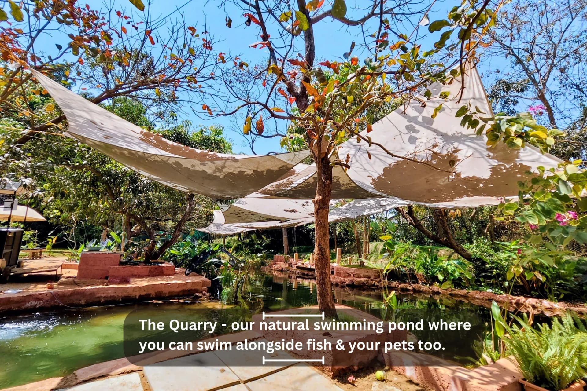 Circle, Goa