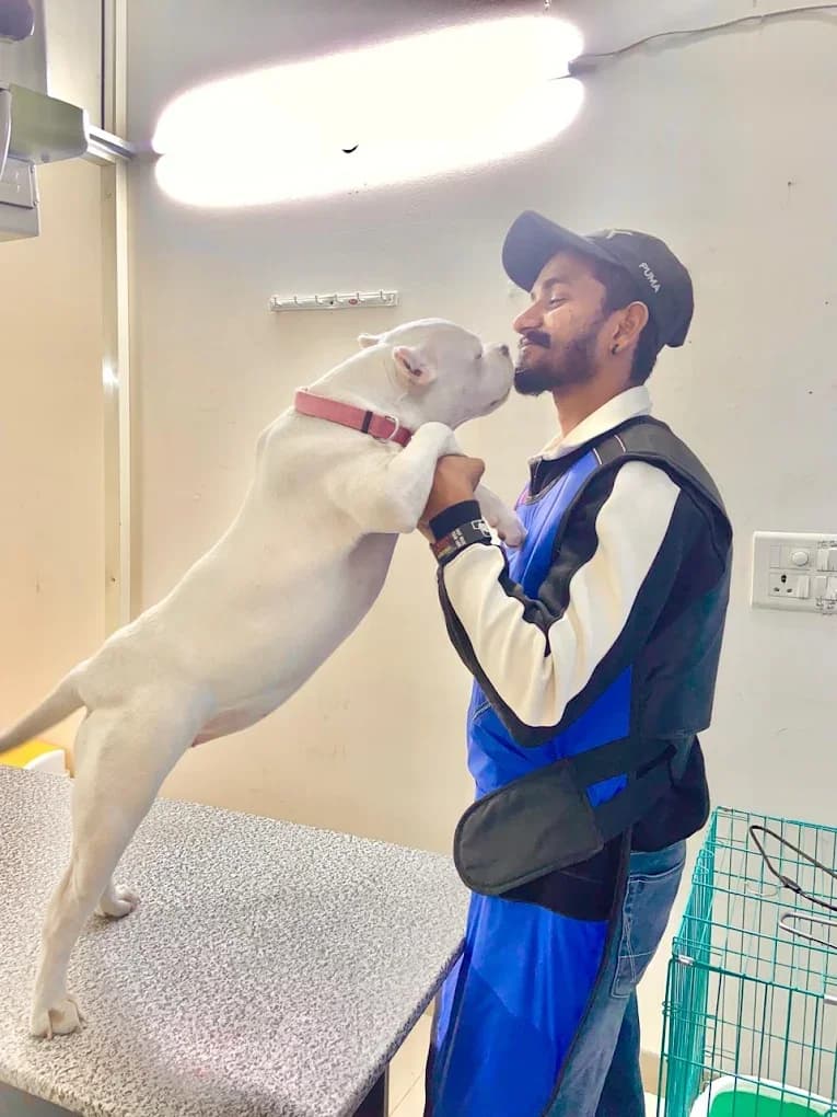 Blue Coat Vet Pet Clinic, Sushant Lok (Gurugram)