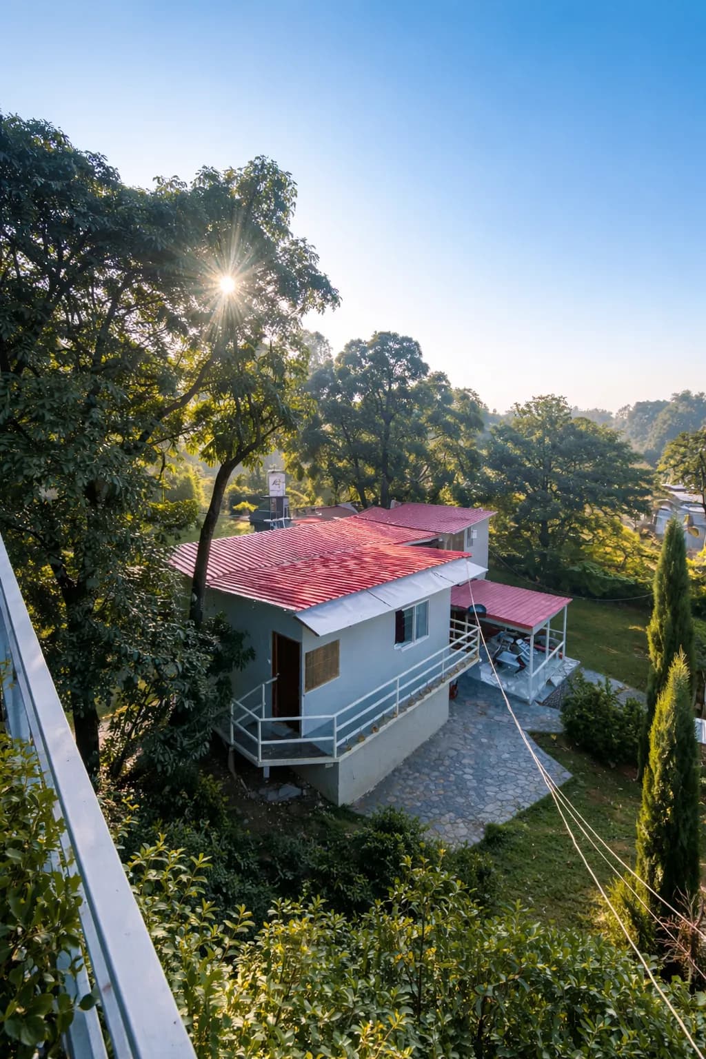 Jungle tale : A pet friendly resort (Dehradun)
