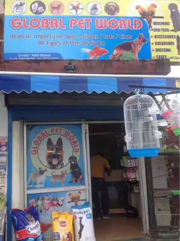 Dream Pet World (Dehradun)