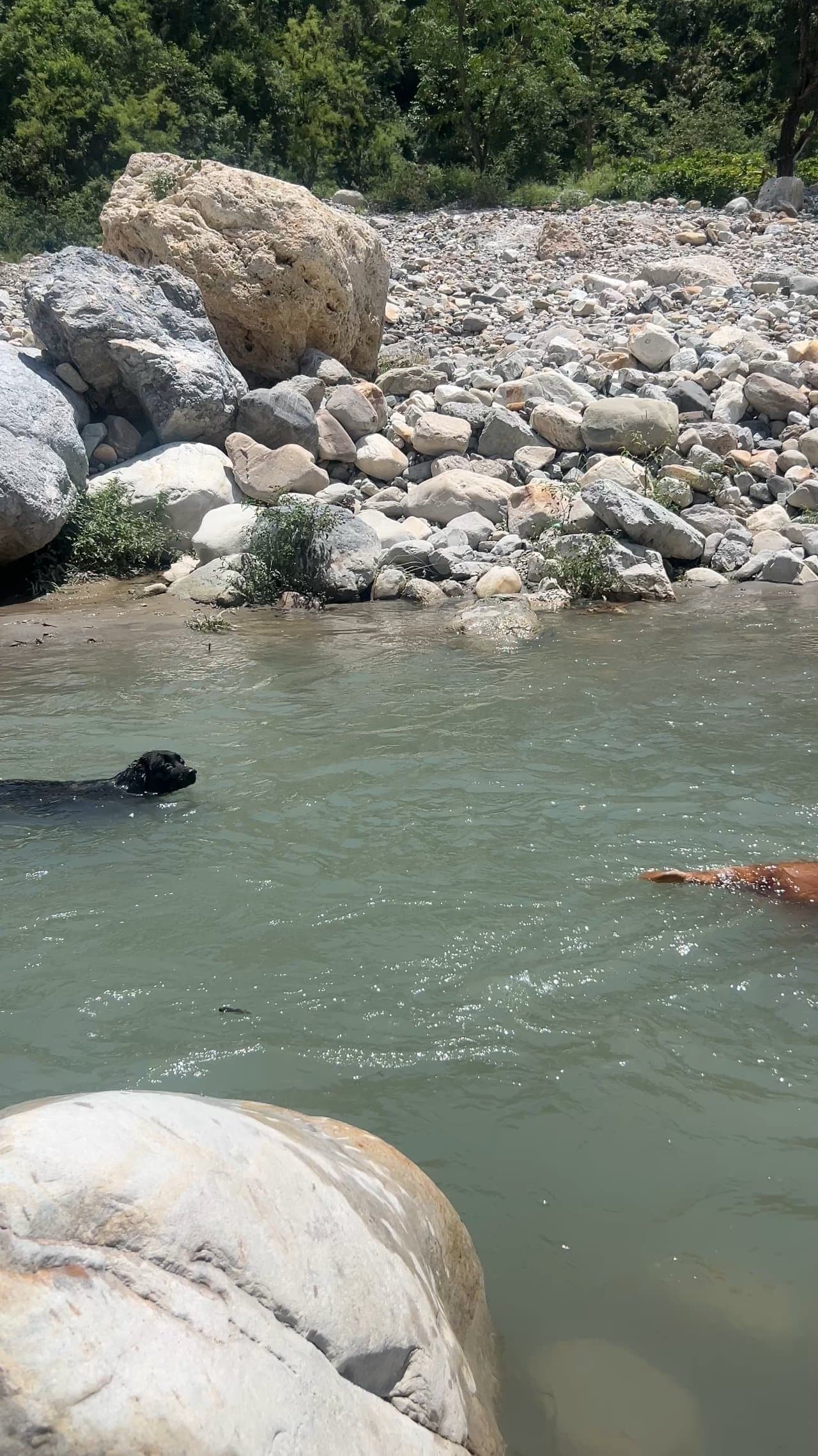Maldevta Picnic Point (Dehradun)