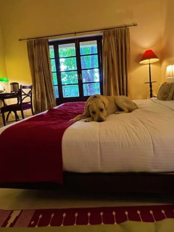 Roop Garh Palace, Jaipur | Wedding Destination Resort (Chak Charanwas)