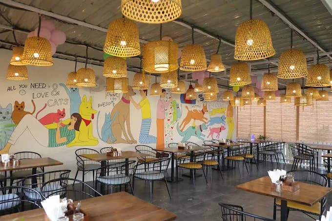 Pups and Cups (Noida)