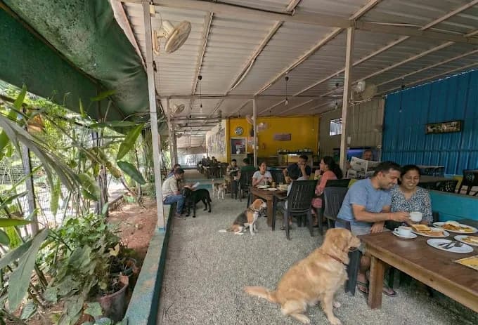 Snoopy Paws Cafe