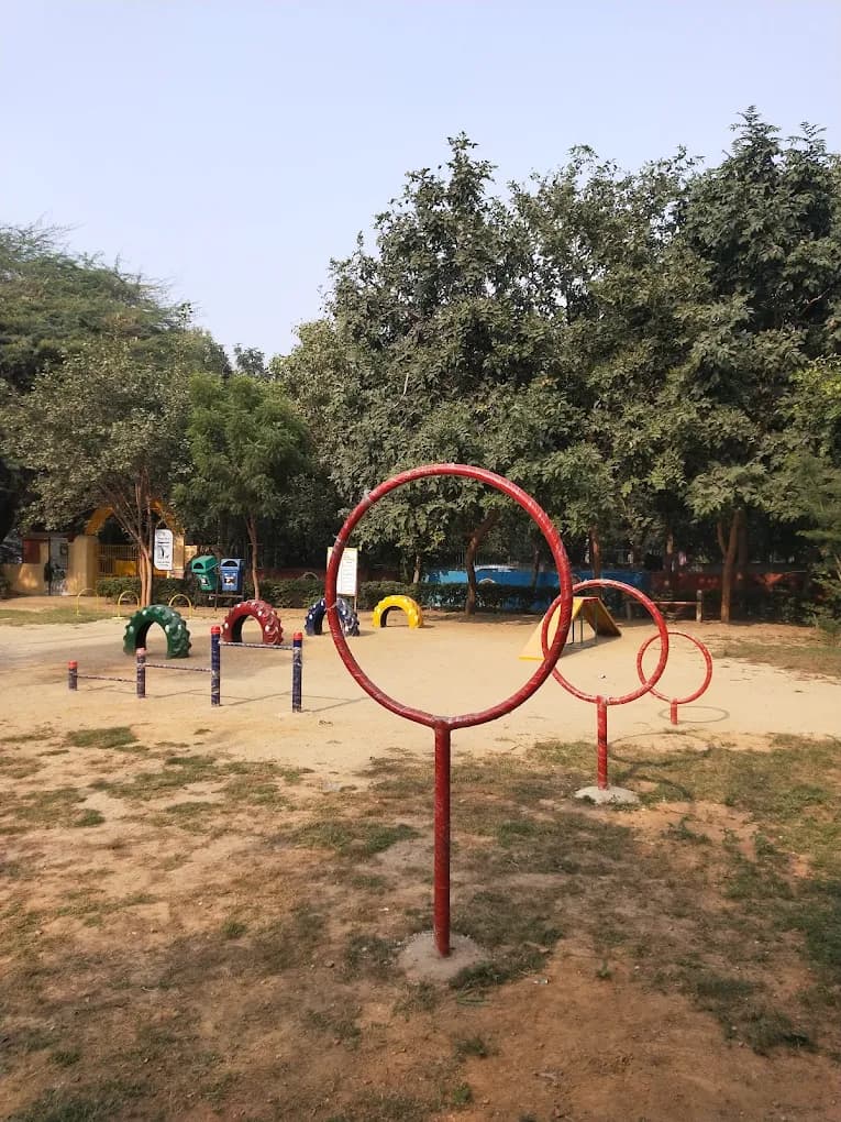 Delhi's First Dog Park (Rajinder Nagar)