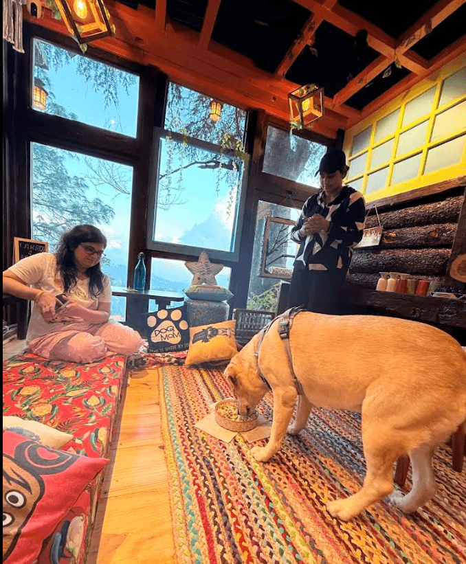 Shyamala Pet Cafe & Bakery (Shimla)