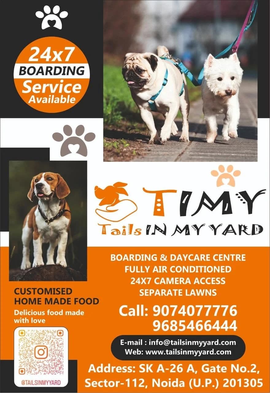 TailsIn My Yard (Noida)