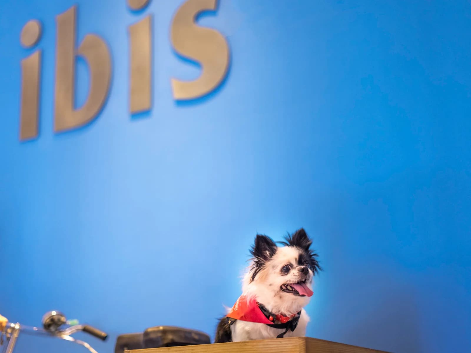 ibis Pune Viman Nagar
