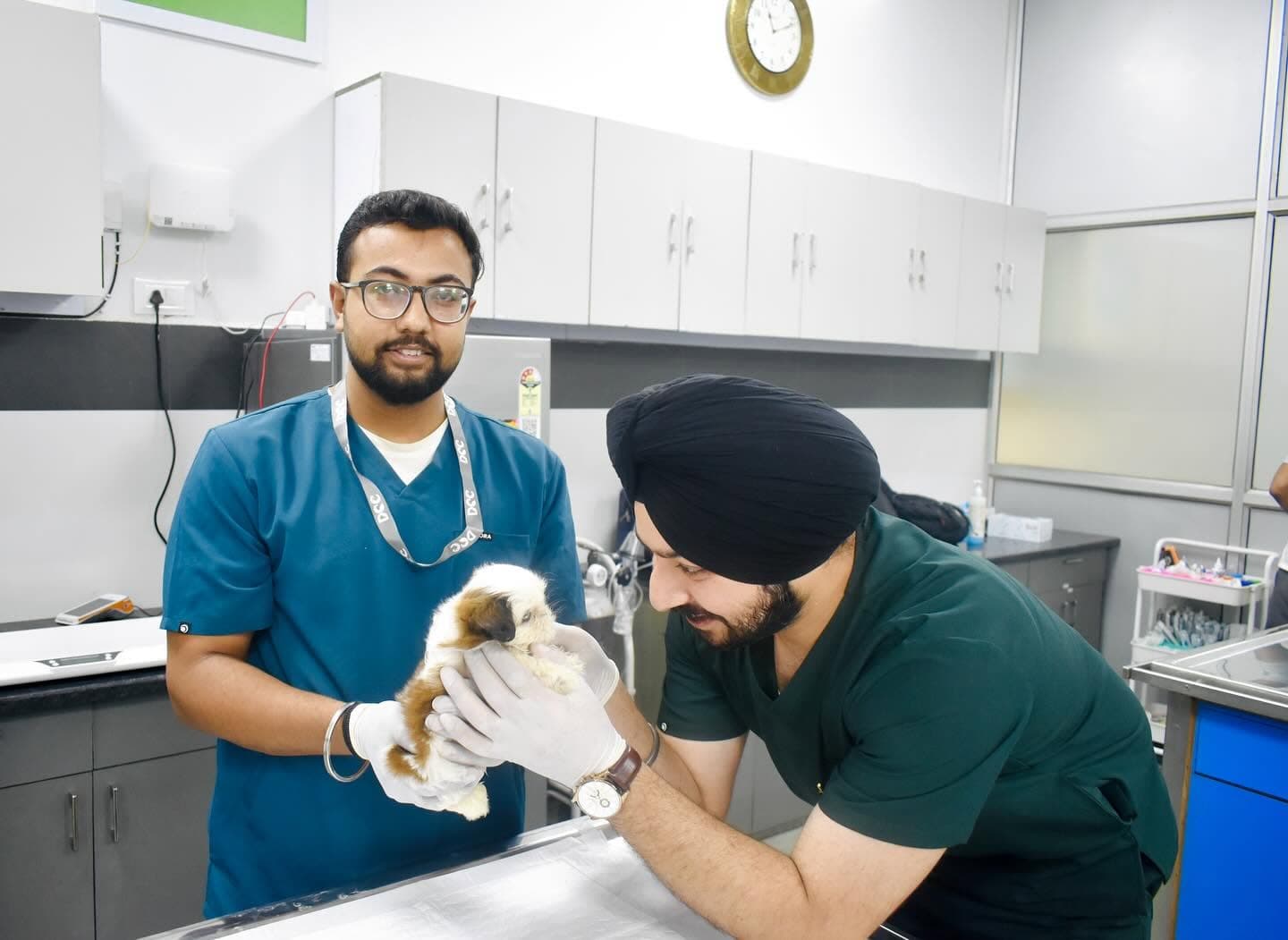 DCC Animal Hospital (Uday Park)