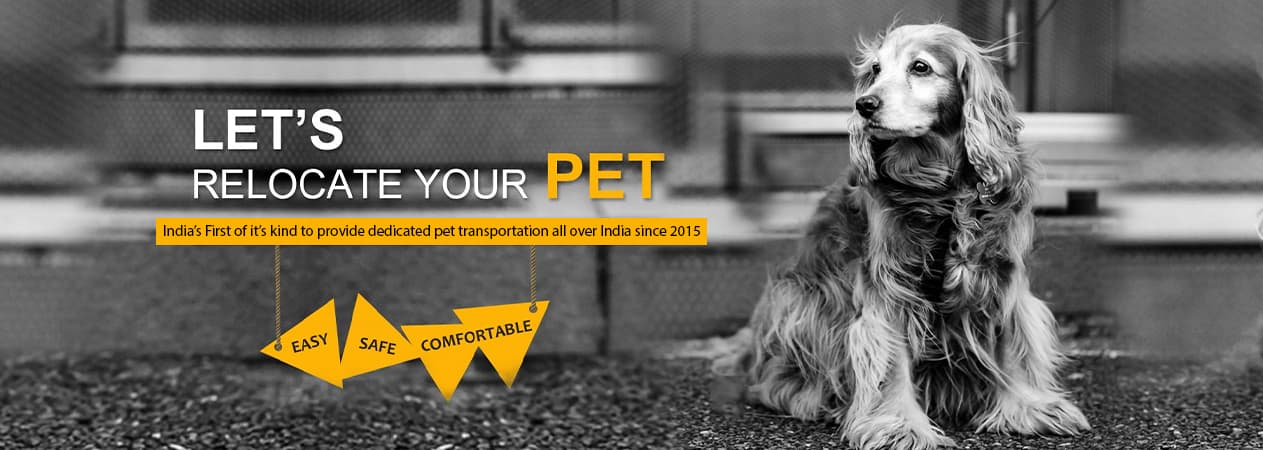 Petscort India