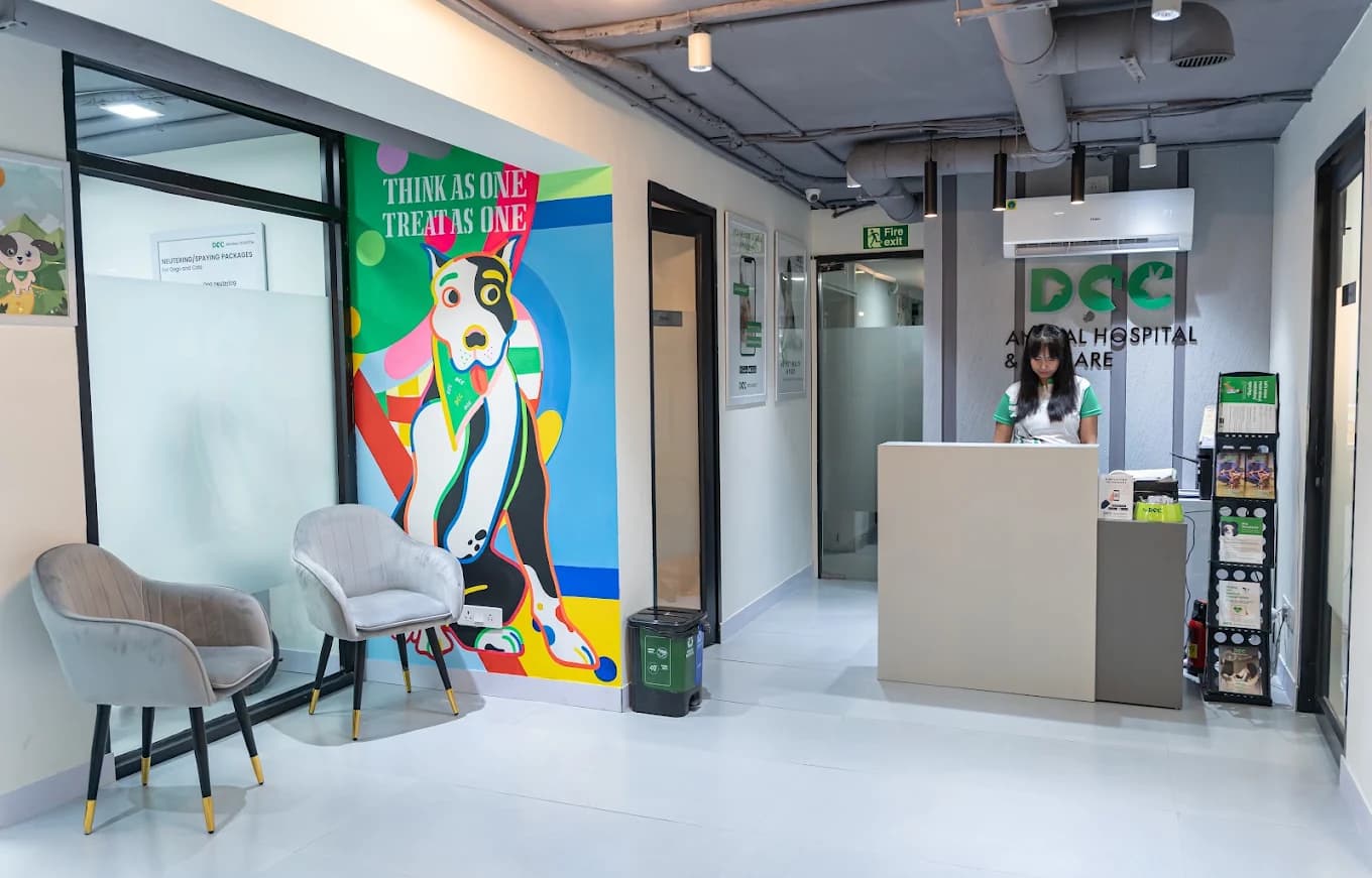 DCC Animal Hospital & Petcare - Best veterinary & pet grooming, Delhi
