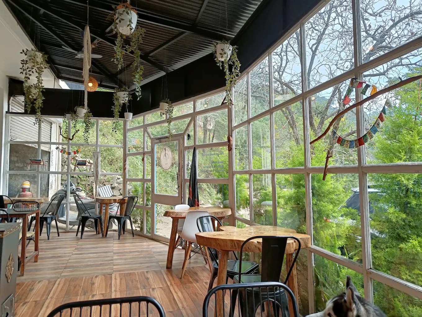Gargi's Cafe & German Bakery (Kaphal Ka Hara)