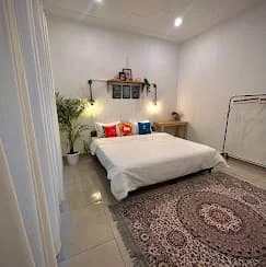 Solo Monkey Hostel